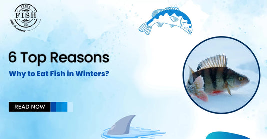 6 Top Reasons Why to Eat Fish in Winters?