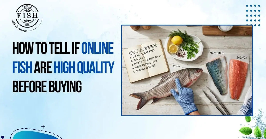 How to Tell if Online Fish Are High Quality Before Buying