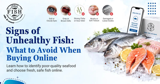 Signs of Unhealthy Fish: What to Avoid When Buying Online