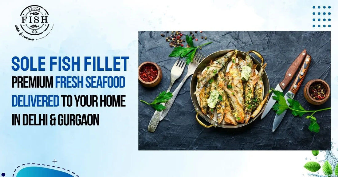 Sole Fish Fillet – Premium Fresh Seafood Delivered to Your Home in Delhi & Gurgaon