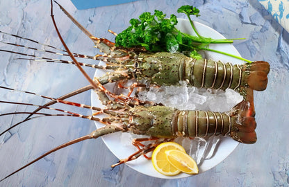Whole Lobster - 500g
