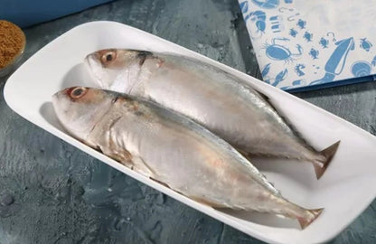Surmai Curry Cut 500g & Mackerel 500g