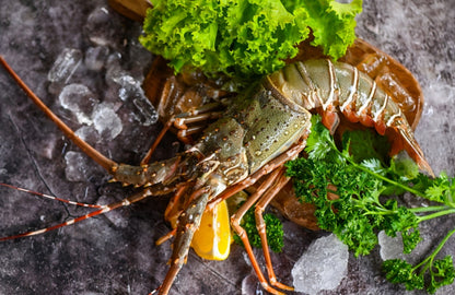 Whole Lobster - 500g