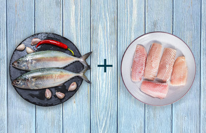 Mahi Mahi Fillet 1kg & Mackerel 500g