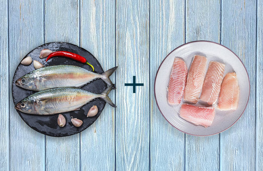 Mahi Mahi Fillet 1kg & Mackerel 500g