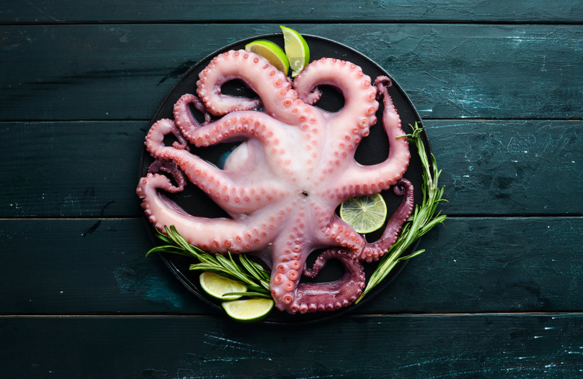 Octopus Fish Powder Fresh Whole Octopus – Premium Quality & Fast Delivery