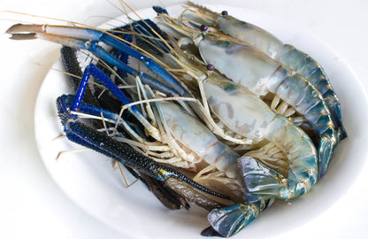 Prawns Scampi - 1kg