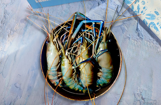 Prawns Scampi - 1kg