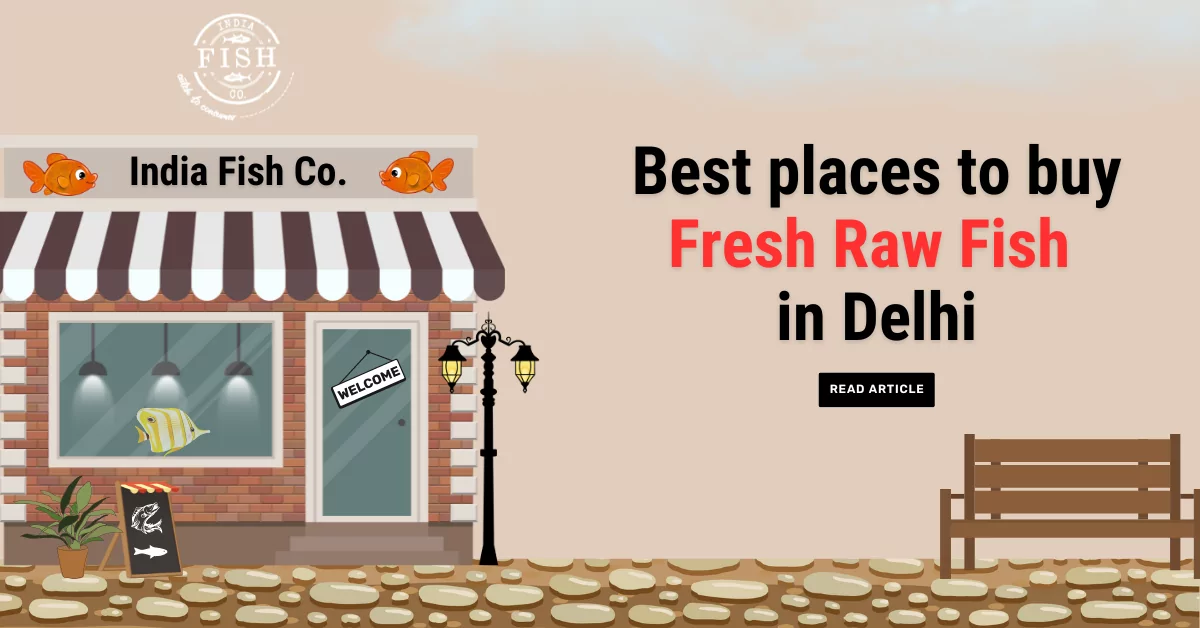 Best places to buy fresh raw fish in Delhi