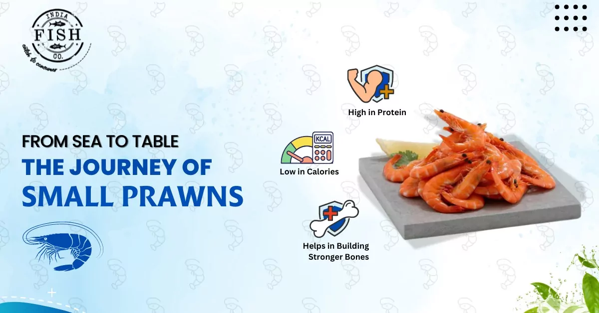 From Sea to Table: The Journey of Small Prawns